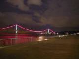 DSCN6140 ΊC勴
